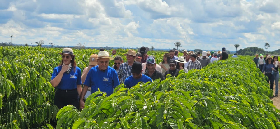 Bocalom aposta no café como motor econômico e reúne produtores em dia de campo
